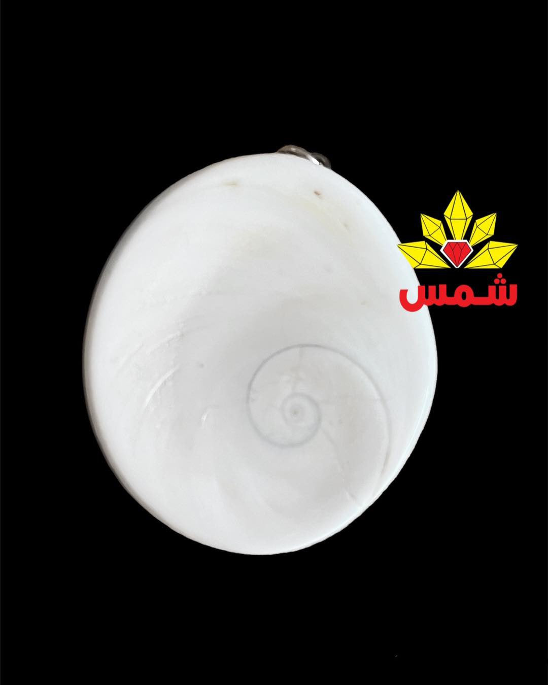 عطف بحري أصلي وفضة