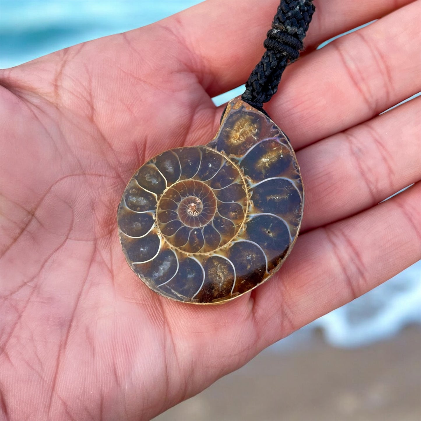 عقد حفرية أمونايت نادرة