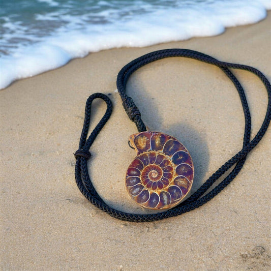 عقد حفرية أمونايت نادرة