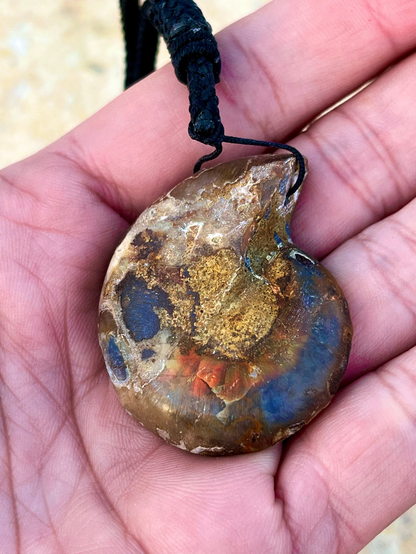 عقد حفرية أمونايت نادرة