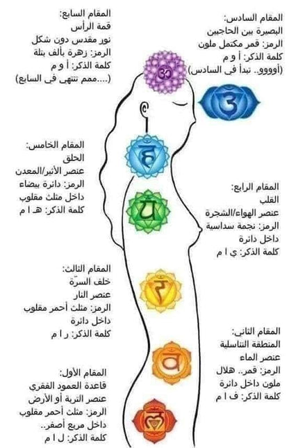 شاكرات_الطاقة_السبعة متحدة مع كنز البحار👈محارة اكويا ياباني طبيعي كبيرة جدا